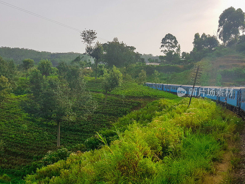 在斯里兰卡的火车旅行通过茶叶种植园Ella, Nuwara Eliya和Kandy